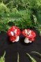 Double Toadstool with Dragonfly.