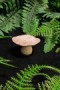 Pink Toadstool Table