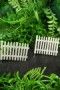 White Picket Fencing Pk2