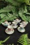 Mini Teapots & Cups on Saucers
