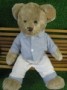 Dressed Teddy Bear