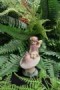 Fairy on Mushroom with Bird